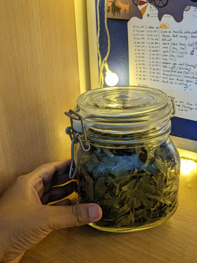 Next step in how to make tea from soursop leaves: store in an airtight container away from sunlight, heat and moisture.