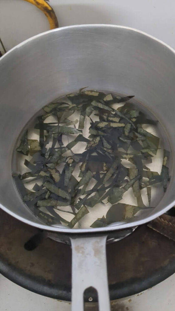 how to make tea from soursop leaves: boil the leaves and steep for 5 mins