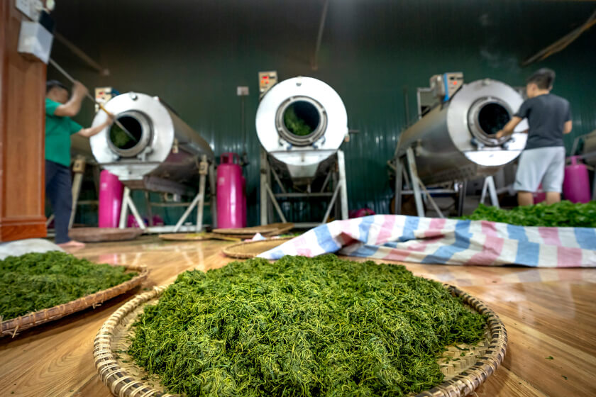 Drying, the final step in how tea is made